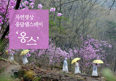 2월 '옹달샘스테이' 신청 안내