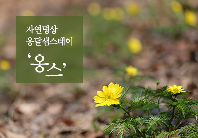 2월 '옹달샘스테이' 신청 안내