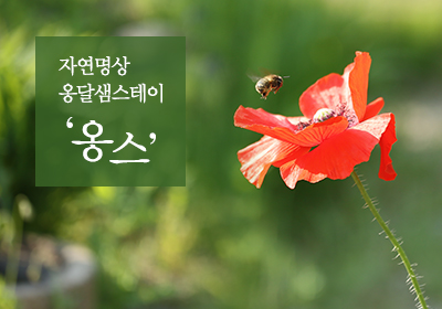5월 '옹달샘스테이' 신청 안내