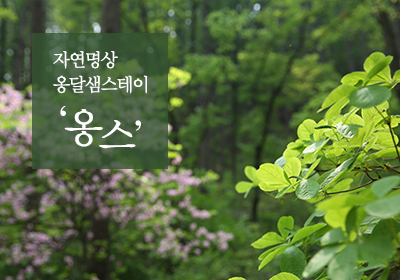 '옹달샘스테이' 신청 안내