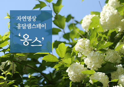 '옹달샘스테이' 신청 안내