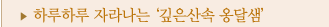 옹달샘 건축물