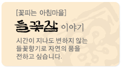 들꽃잠이야기