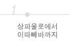 상파울로에서 이따뻬바까지