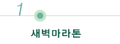 새벽 마라톤