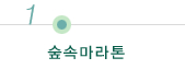 숲속마라톤