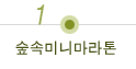 숲속미니마라톤