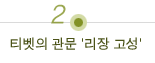 티벳의 관문 '리장 고성'