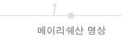 메이리쉐산 명상