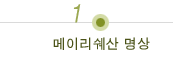 메이리쉐산 명상