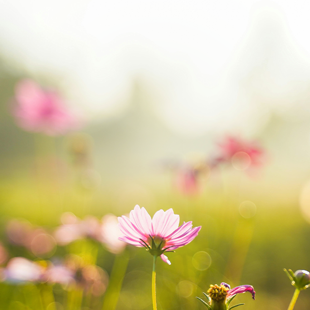 2025-10-02 아침편지