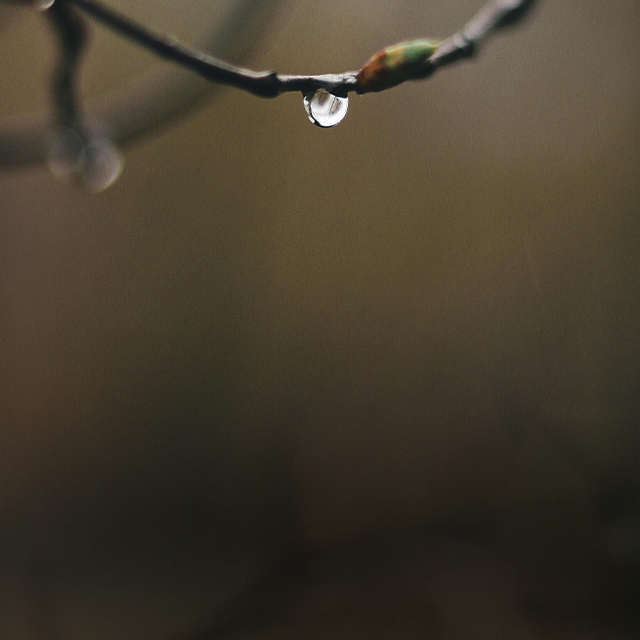 2025-10-10 아침편지