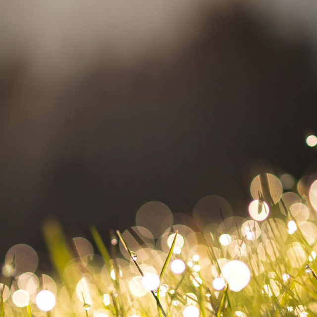 2025-10-20 아침편지