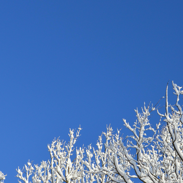 2025-10-22 아침편지