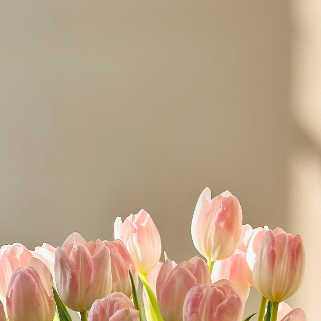 2025-10-30 아침편지