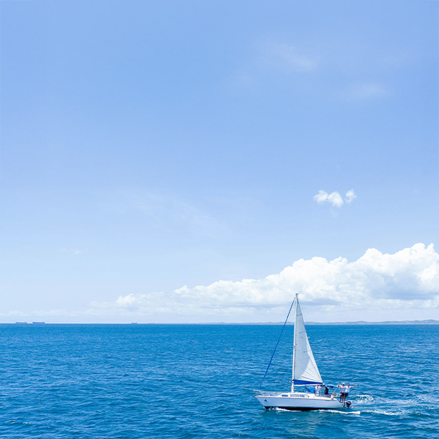 2025-11-21 아침편지