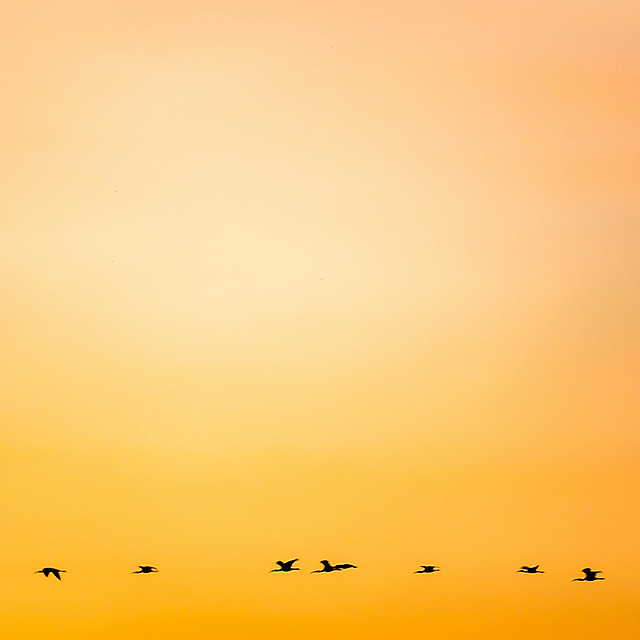 2026-02-05 아침편지