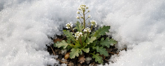 할인 혜택아침편지 25주년 기념 스테이