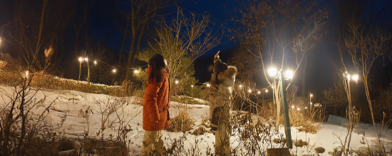 명절, 가족을 생각하는 분이 먼저 신청합니다.