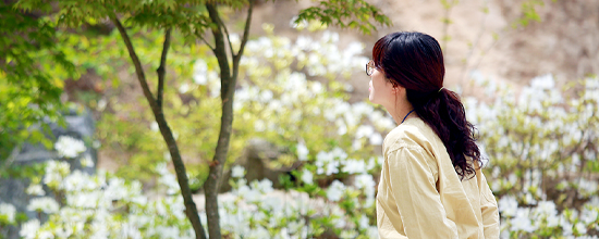 '숲멍 하루명상' 3월 단 2회! 특별 할인 혜택