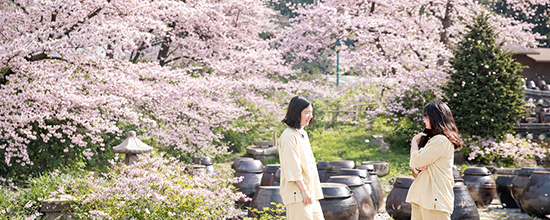 봄날愛 자연명상 스테이 '얼리버드 30% 할인'