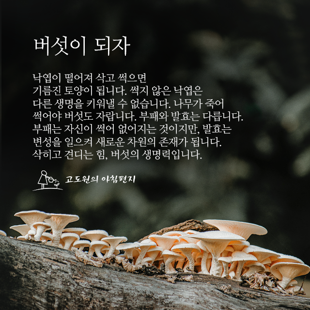 사진편지 썸네일