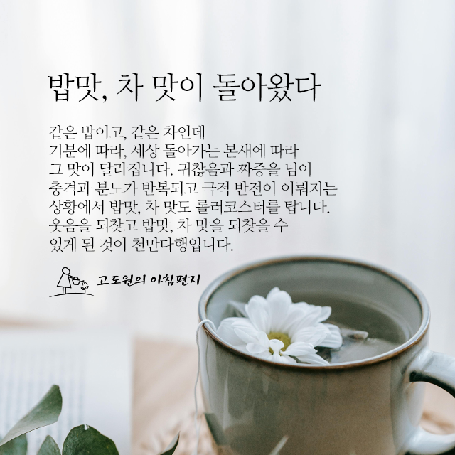 사진 썸네일