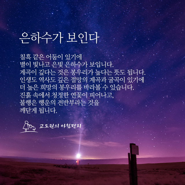 사진 썸네일