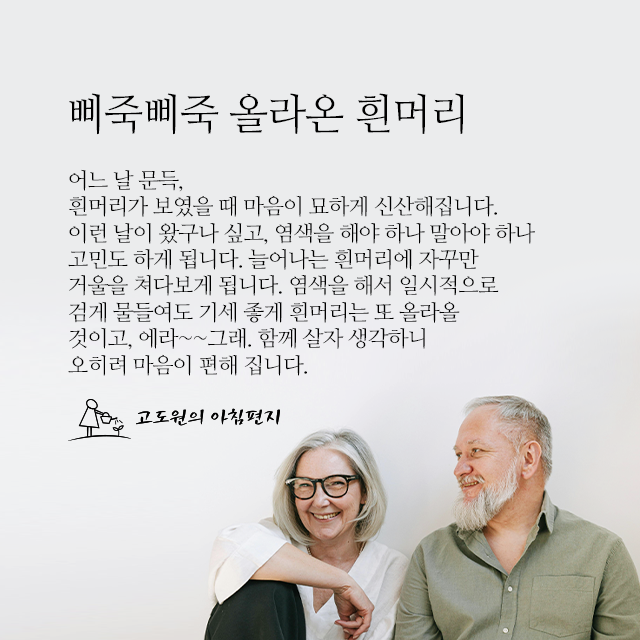 사진 썸네일