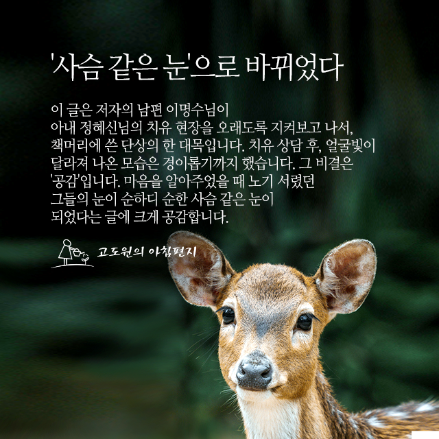사진 썸네일