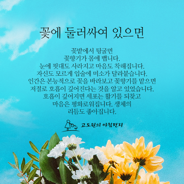 사진편지 썸네일