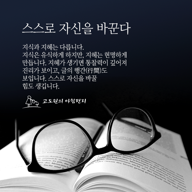 사진 썸네일