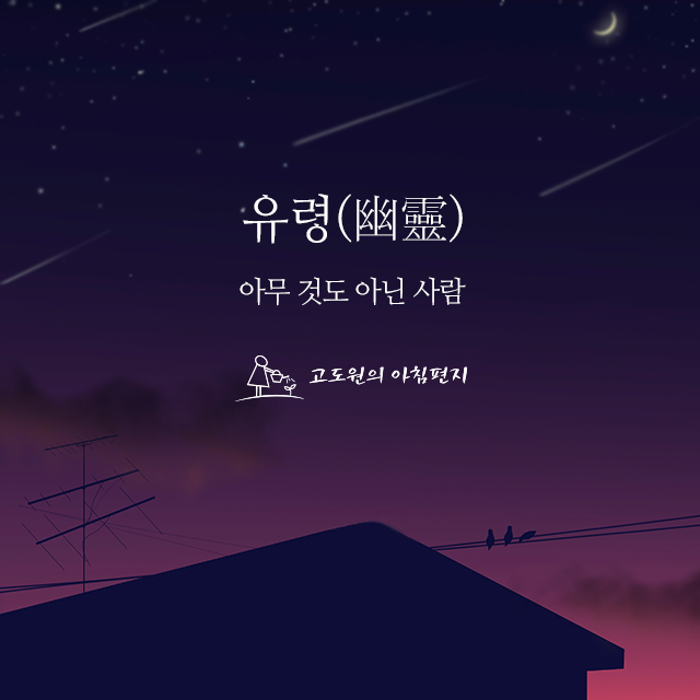 사진 썸네일