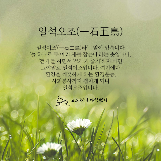 사진 썸네일