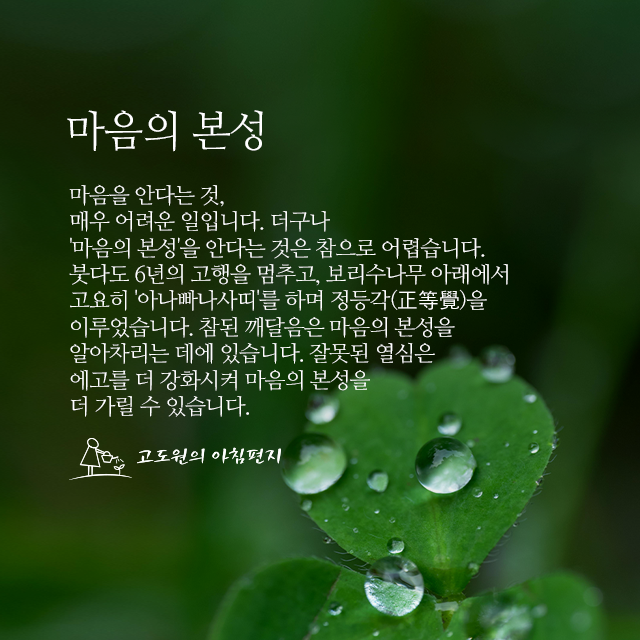 사진 썸네일