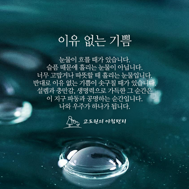 사진 썸네일