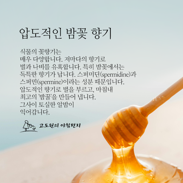 사진 썸네일