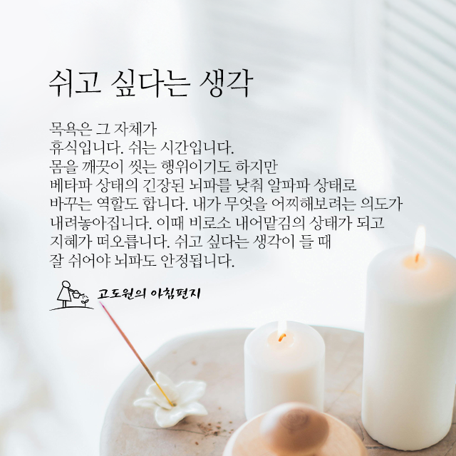 사진 썸네일
