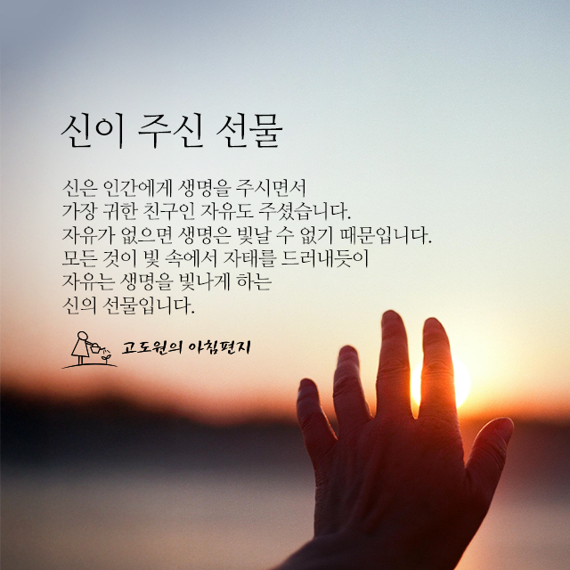 사진편지 썸네일