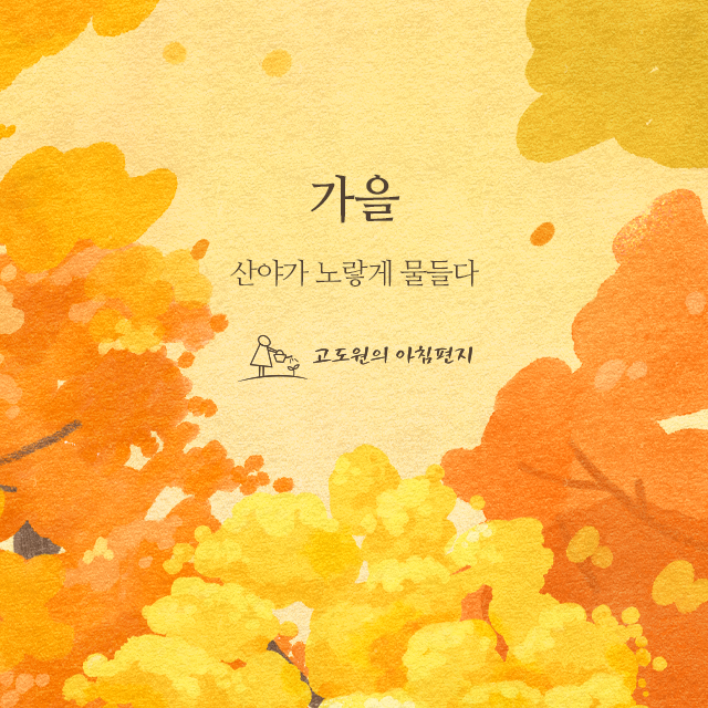 사진편지 썸네일