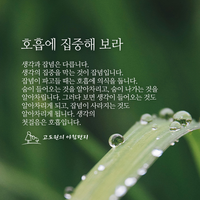 사진편지 썸네일