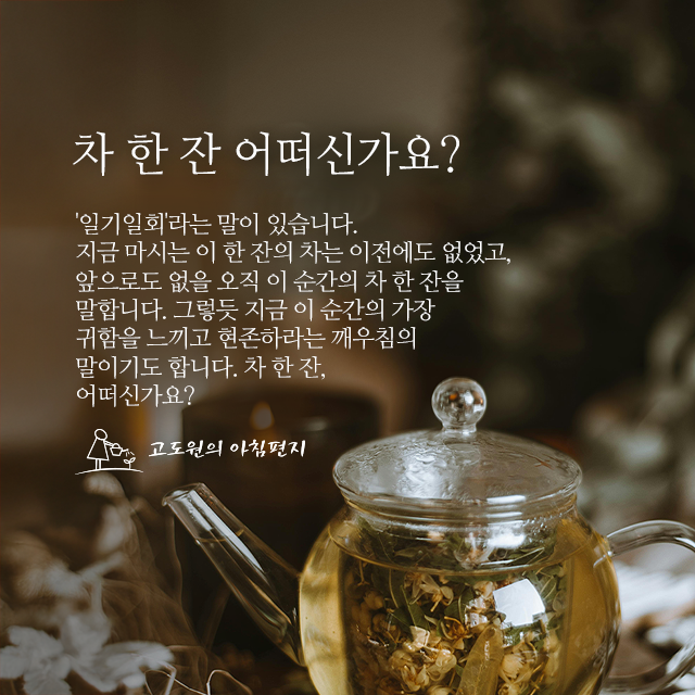 사진편지 썸네일