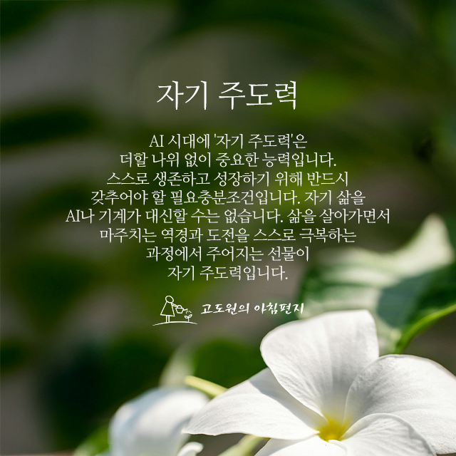 사진편지 썸네일