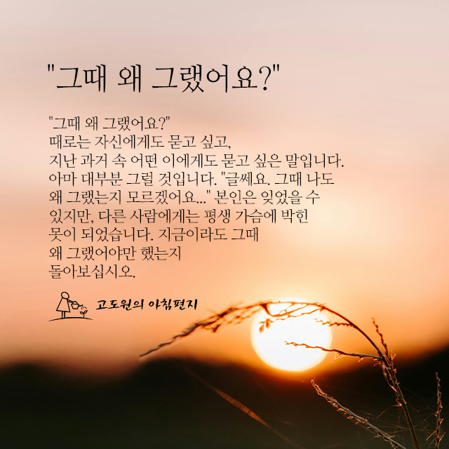 사진편지 썸네일