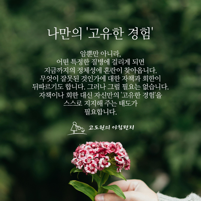 사진편지 썸네일