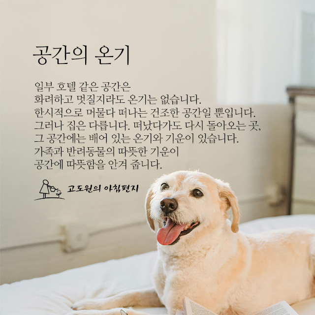 사진편지 썸네일