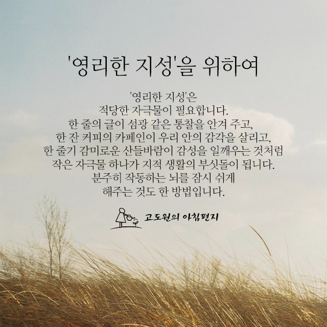 사진편지 썸네일