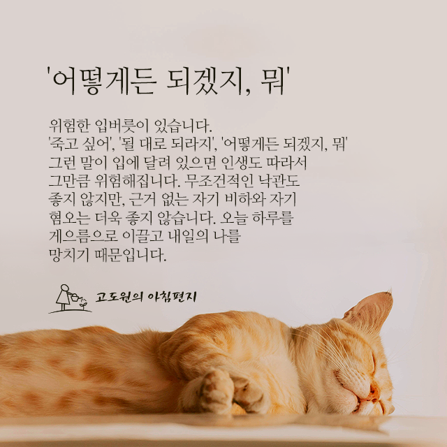 사진편지 썸네일