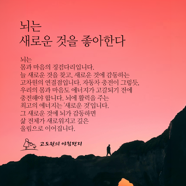 사진편지 썸네일
