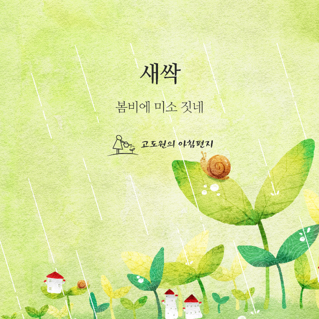 사진편지 썸네일